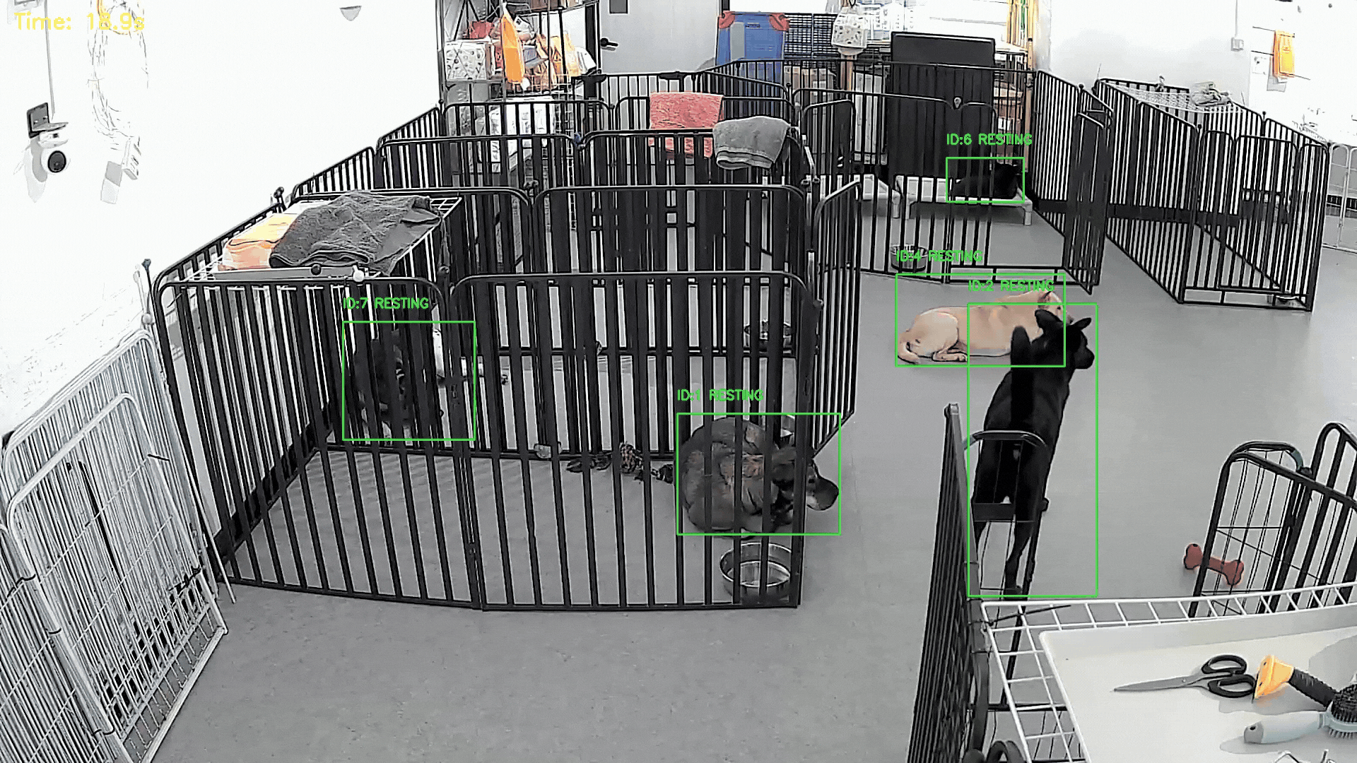 Real time AI detection and behavioral analysis